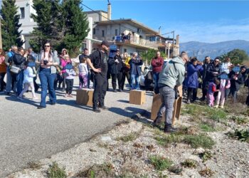 Συμμετοχή της Μονάδας Διαχείρισης Εθνικού Πάρκου Μεσολογγίου και Προστατευόμενων Περιοχών Δυτικής Στερεάς Ελλάδας σε δράσεις της ΑΝΙΜΑ για την Παγκόσμια Ημέρα Υγροτόπων