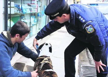 Επιασε δουλειά η αστυνομία ζώων
