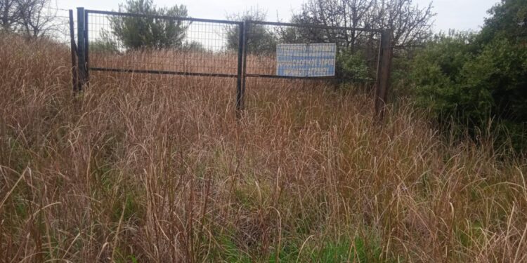 Επίσκεψη μαθητών στο Αρχαίο Αγρίνιο και δραματικές διαπιστώσεις