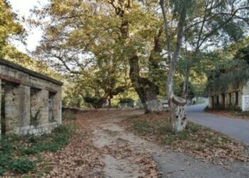 Απίστευτο συμβάν στο παλιό Λουτρό Αιτωλ/νίας: τραπέζια, παγκάκια και φώτα σε ένα χώρο αναψυχής και μνήμης πετάχτηκαν στο ποτάμι!