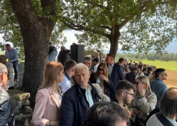 Με τη συμμετοχή πλήθους κόσμου τηρήθηκε και φέτος το παραδοσιακό έθιμο των ιπποδρομιών στον Άγιο Γεώργιο Μεσολογγίου