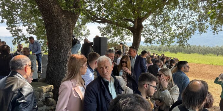 Με τη συμμετοχή πλήθους κόσμου τηρήθηκε και φέτος το παραδοσιακό έθιμο των ιπποδρομιών στον Άγιο Γεώργιο Μεσολογγίου