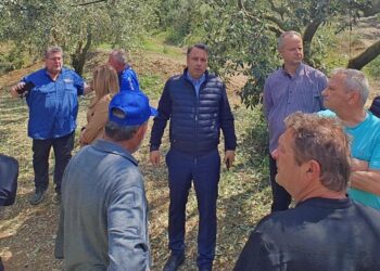 Θανάσης Παπαθανάσης: Άμεση η ανταπόκριση της πολιτείας – Δίπλα στους πληγέντες παραγωγούς της Αιτωλοακαρνανίας