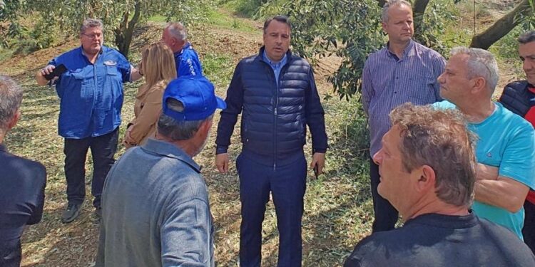 Θανάσης Παπαθανάσης: Άμεση η ανταπόκριση της πολιτείας – Δίπλα στους πληγέντες παραγωγούς της Αιτωλοακαρνανίας