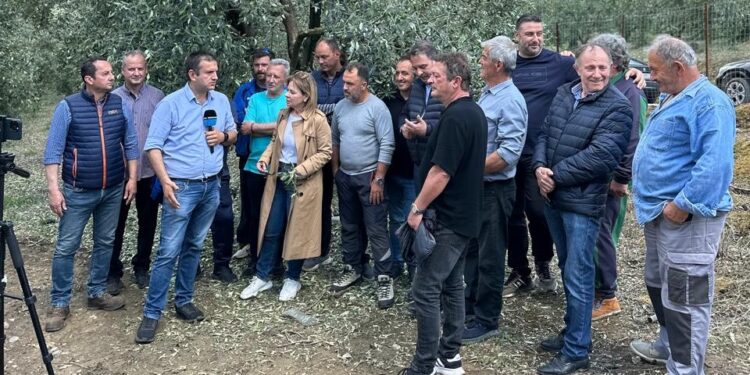 Η Χριστίνα Σταρακά δίπλα στους πληγέντες από τη χαλαζόπτωση αγρότες στη Σταμνά – Ζητά άμεσα μέτρα στήριξης