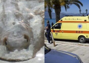 Στο νοσοκομείο Αγρινίου νοσηλεύεται γυναίκα-Έκανε βουτιά και ξαφνικά άρχισε να ουρλιάζει από πόνο