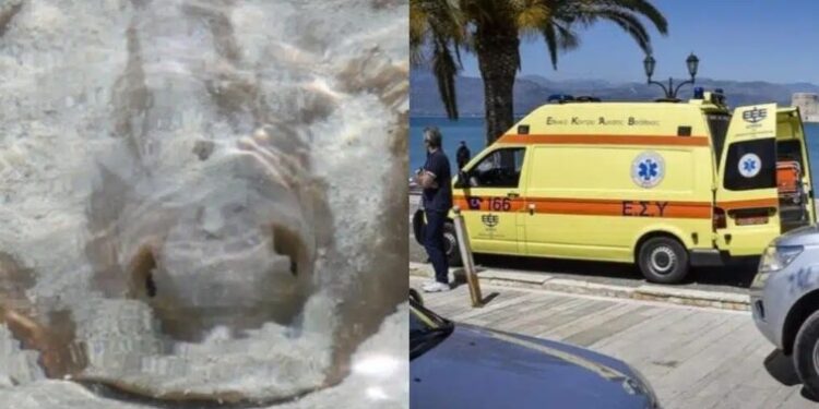 Στο νοσοκομείο Αγρινίου νοσηλεύεται γυναίκα-Έκανε βουτιά και ξαφνικά άρχισε να ουρλιάζει από πόνο