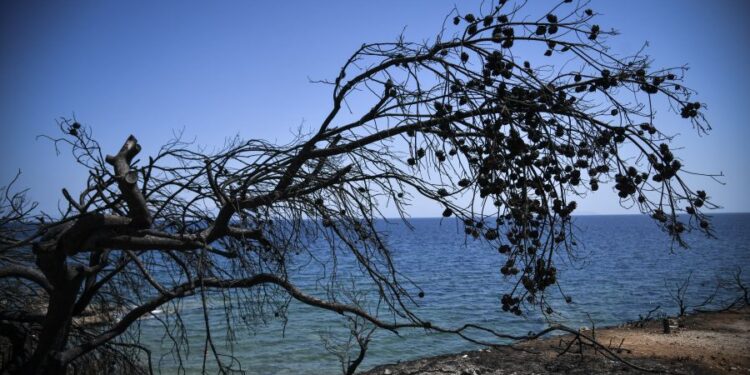 Δίκη για τη φονική πυρκαγιά στο Μάτι: Στις 3 Ιουνίου η απόφαση του Εφετείου