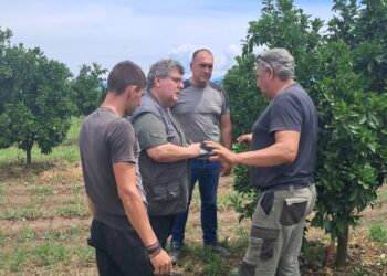 Ο προϊστάμενος του ΕΛΓΑ Αγρινίου στα Καλύβια είδε από κοντά την ζημιά που έχουν υποστεί οι καλλιέργειες από το χαλάζι