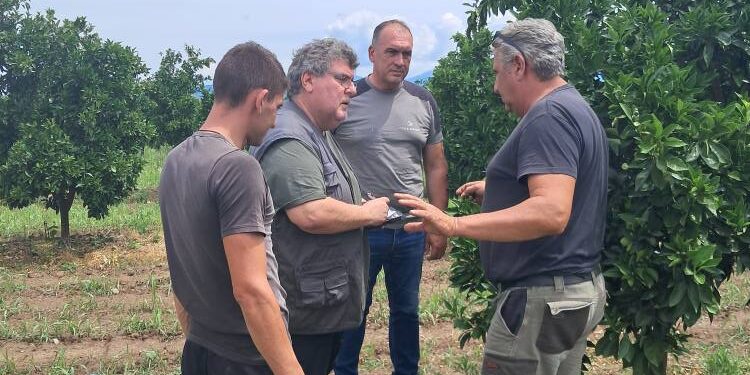 Ο προϊστάμενος του ΕΛΓΑ Αγρινίου στα Καλύβια είδε από κοντά την ζημιά που έχουν υποστεί οι καλλιέργειες από το χαλάζι