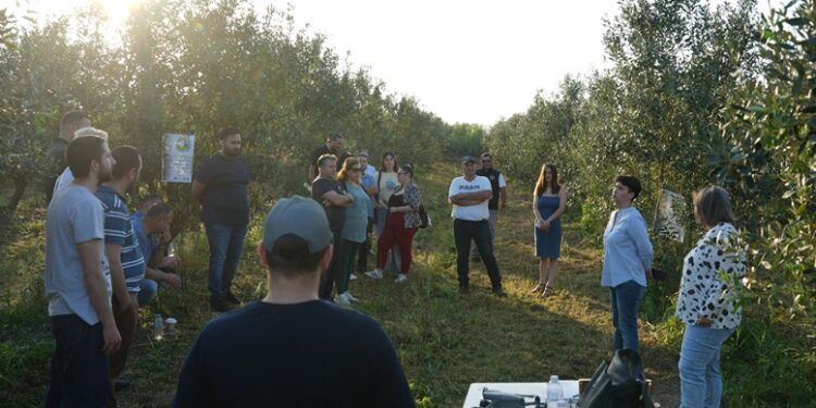 Νεοχώρι : Ημερίδα με θέμα «Έξυπνα Αγροκτήματα Βιολογικής Ελιάς»