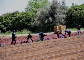 Οι Έλληνες εργάζονται περισσότερο στην ΕΕ, αλλά παίρνουν τα λιγότερα
