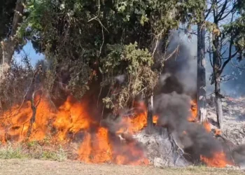 Φωτιά εκδηλώθηκε  σε ανάχωμα, δίπλα σε περιβόλια σε αγροτική περιοχή στην Κατοχή 
