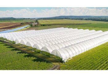 Ξεκινά το πρόγραμμα ενίσχυσης θερμοκηπιακών καλλιεργειών – Στα 20.000.000 € η κατανομή για την Δυτική Ελλάδα
