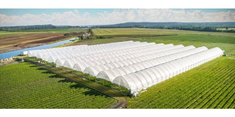 Ξεκινά το πρόγραμμα ενίσχυσης θερμοκηπιακών καλλιεργειών – Στα 20.000.000 € η κατανομή για την Δυτική Ελλάδα