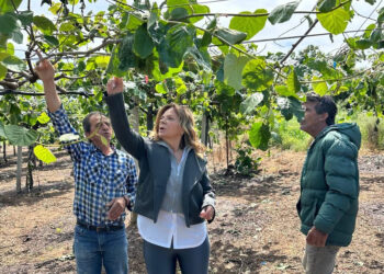 Αυτοψία της Χριστίνας Σταρακά σε Καλύβια και Γουριώτισσα – Άμεση παρέμβαση για την αποζημίωση των πληγέντων παραγωγών ακτινιδίων