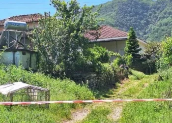 Χαλκιόπουλο: Δεν υπήρχε νομική δυνατότητα για τη σύλληψη του πατροκτόνου απαντά η αστυνομία