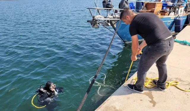 Περιβαλλοντική δράση καθαρισμού του Λιμανιού Μεσολογγίου από εθελοντές δύτες
