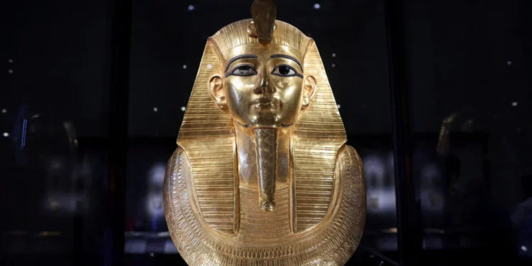 Τοξικός μύκητας της κατάρας των Φαραώ μετατρέπεται σε φάρμακο κατά της λευχαιμίας