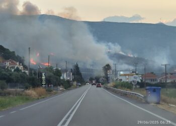 Υπό έλεγχο η μεγάλη παρκαγιά στη Ναύπακτο-Νέα εστία στο Ευηνοχώρι