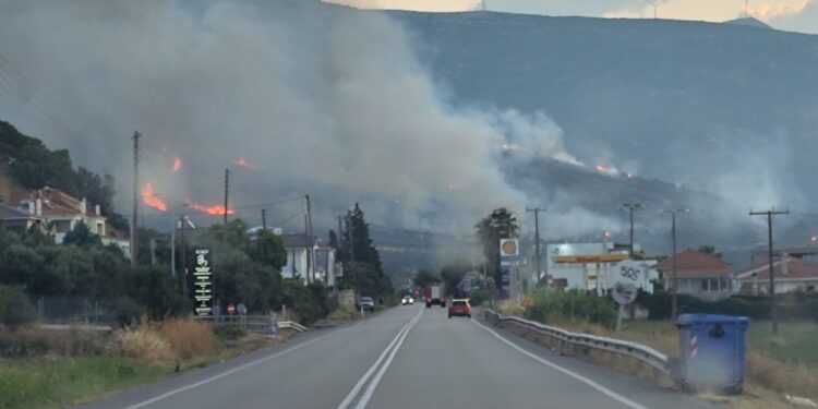 Υπό έλεγχο η μεγάλη παρκαγιά στη Ναύπακτο-Νέα εστία στο Ευηνοχώρι