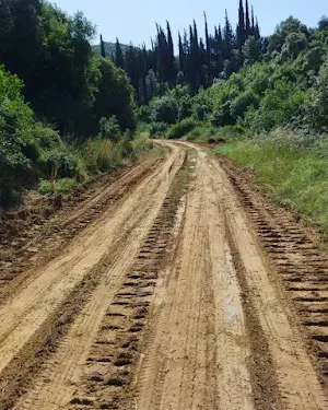 Ολοκληρώθηκαν οι εργασίες συντήρησης αγροτικών δρόμων στην Κοινότητα Φραγκουλαίικα