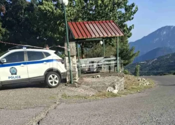 Τι λέει η αστυνομία για το έγκλημα στο Βάλτο-δικογραφία σε βάρος του αδερφού του θανόντος