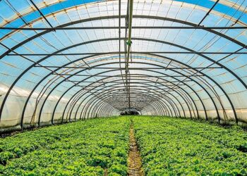 Ενημερωτική ημερίδα στο Αγρίνιο για τις επενδύσεις σε θερμοκήπια