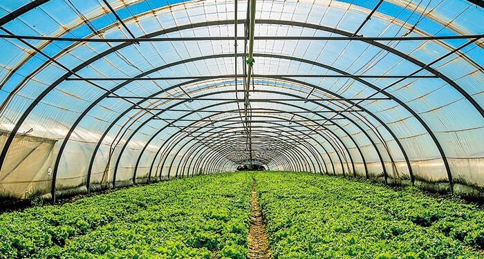 Ενημερωτική ημερίδα στο Αγρίνιο για τις επενδύσεις σε θερμοκήπια