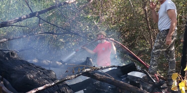 Φωτιά στην θέση Πλατί στην Φλωριάδα