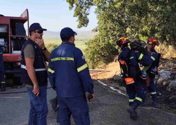 Υπό πλήρη έλεγχο οι πυρκαγιές στις Οινιάδες και στον Άγιο Δημήτριο Πενταλόφου