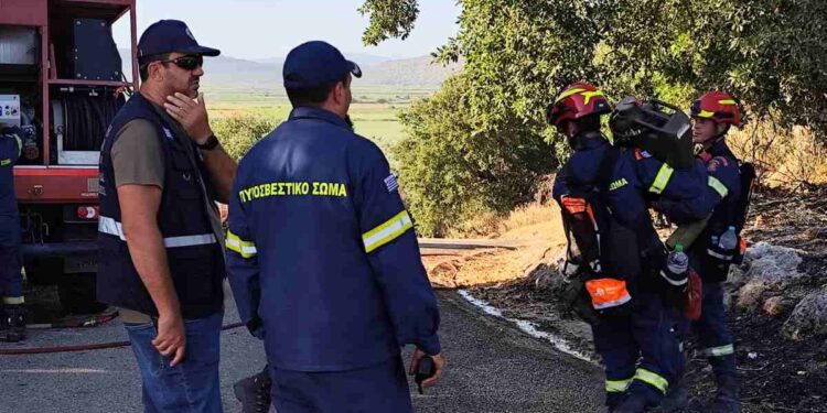 Υπό πλήρη έλεγχο οι πυρκαγιές στις Οινιάδες και στον Άγιο Δημήτριο Πενταλόφου