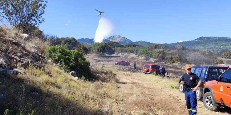 Υπό πλήρη έλεγχο η πυρκαγιά στην περιοχή Ταξιάρχης Θέρμου (φωτο)