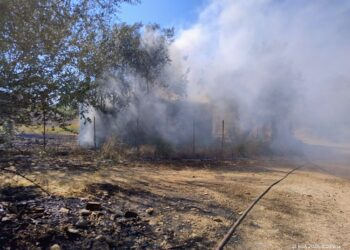 Πυρκαγιά στην περιοχή “Μπούζα” Αιτωλικού