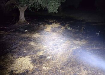 Φωτιά εκδηλώθηκε το βράδυ της Τετάρτης στην περιοχή Λυγιά Ναυπάκτου.