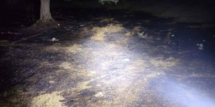 Φωτιά εκδηλώθηκε το βράδυ της Τετάρτης στην περιοχή Λυγιά Ναυπάκτου.