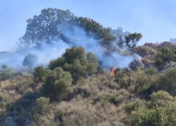 ΚΚΕ: Ανικανότητα έδειξε η φωτιά στο Αρχαίο Θέατρο Οινιαδών