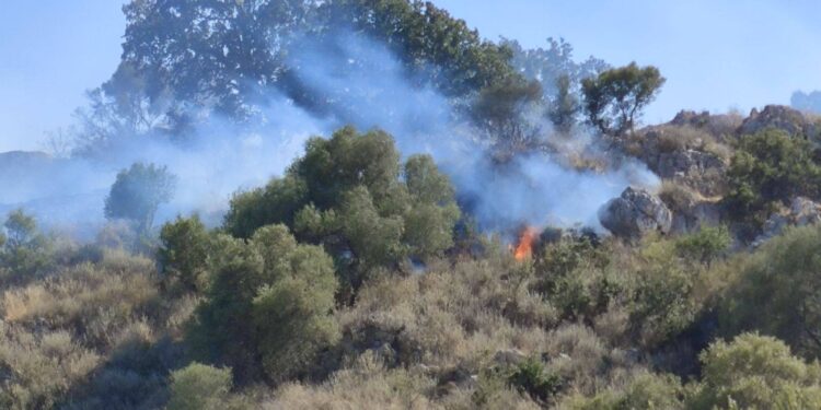ΚΚΕ: Ανικανότητα έδειξε η φωτιά στο Αρχαίο Θέατρο Οινιαδών