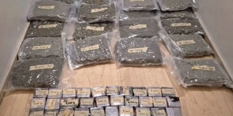 Ναρκωτικά αξίας 2,7 εκατομμυρίων ευρώ κρυμμένα σε φορτηγό