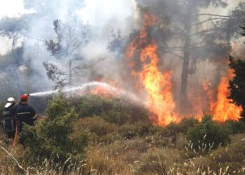 Βαρύ πρόστιμο σε άνδρα για φωτιά
