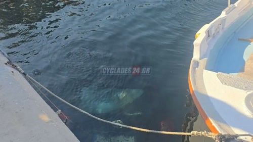 Σύρος: Αυτοκίνητο κατέληξε στη θάλασσα – Ξέχασε το χειρόφρενο ο οδηγός
