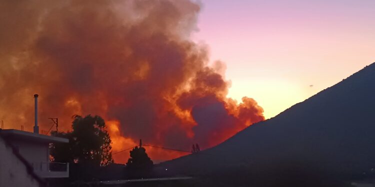 Μάχη στο πύρινο μέτωπο στα Παλιάμπελα-αναφορές πως κάηκε ένα σπίτι