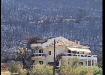 Βόνιτσα:Παρανάλωμα του πυρός δασική και καλλιεργήσιμη έκταση, βοοειδή-πρόβατα, αλλά και μια εξοχική κατοικία!