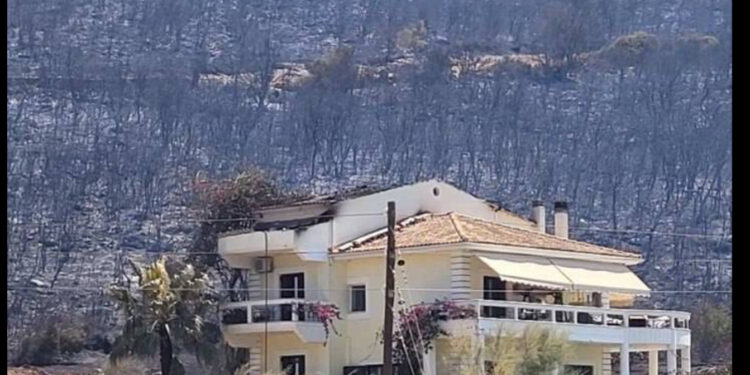 Βόνιτσα:Παρανάλωμα του πυρός δασική και καλλιεργήσιμη έκταση, βοοειδή-πρόβατα, αλλά και μια εξοχική κατοικία!