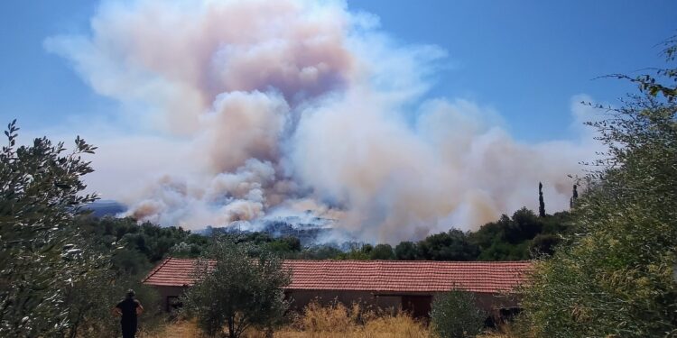 Τώρα|Μεγάλη πυρκαγιά στη Σταμνά – Ήχησε το 112: “Απομακρυνθείτε προς Μεσολόγγι..”