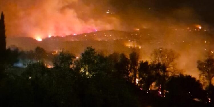 Πύρινος εφιάλτης στη Σταμνά- Ο κίνδυνος για την κοινότητα έχει περάσει για την ώρα, λέει ο Δήμαρχος