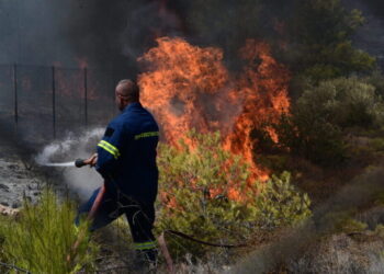Στάχτη 454.000 στρέμματα μέχρι τα μέσα Αυγούστου