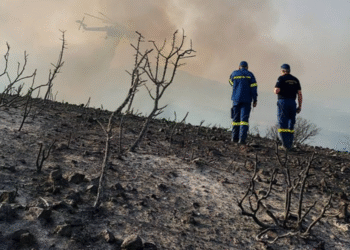 Σε έκτακτη ανάγκη κηρύχθηκαν οι Δ.Κ Βόνιτσας και Αγίου Νικολάου που κάηκαν-κυβερνητικοί παράγοντες αναμένεται να επισκεφθούν τις πληγείσες περιοχές