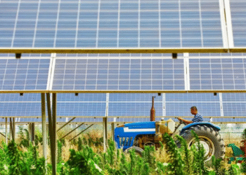 Καταλογίστηκαν τα πρώτα πρόστιμα 56.000 ευρώ σε φορείς πιστοποίησης βιολογικών προϊόντων – Το ΥΠΑΑΤ θωρακίζει το σύστημα με εντατικοποίηση των ελέγχων