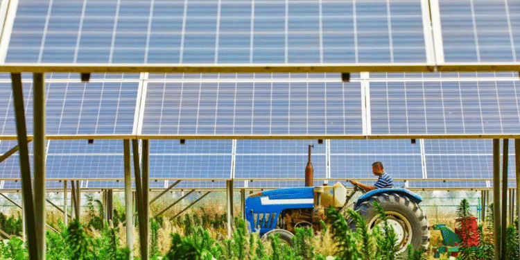 Καταλογίστηκαν τα πρώτα πρόστιμα 56.000 ευρώ σε φορείς πιστοποίησης βιολογικών προϊόντων – Το ΥΠΑΑΤ θωρακίζει το σύστημα με εντατικοποίηση των ελέγχων